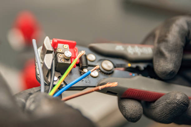 Best Electrical Upgrades for Homes  in Otsego, MN